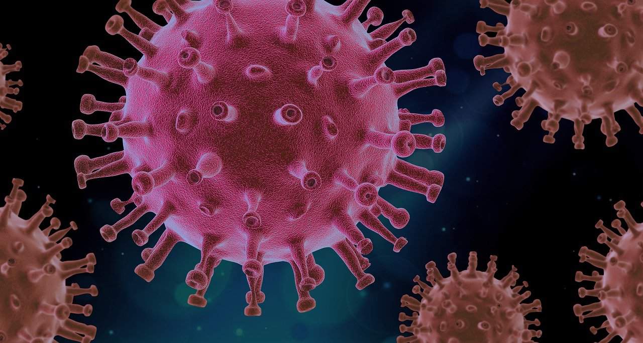 Viruses – what do we know about them?