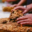 Utilizing a Commercial Pre Roll Machine to Easily Process Tobacco