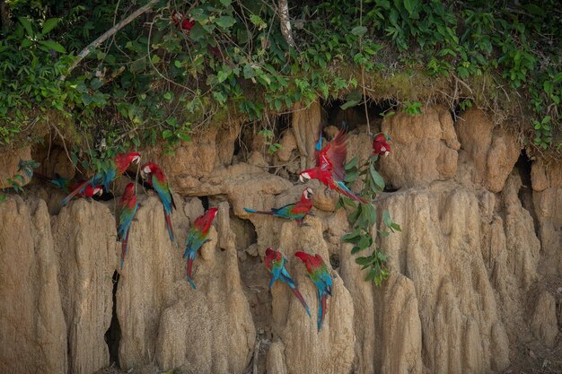 Exploring the Unique Ecosystems of Remote Islands