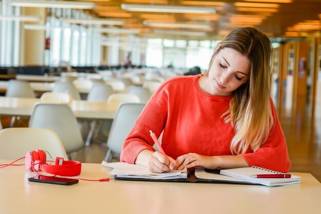 Navigating the Polish Education System as an International Student