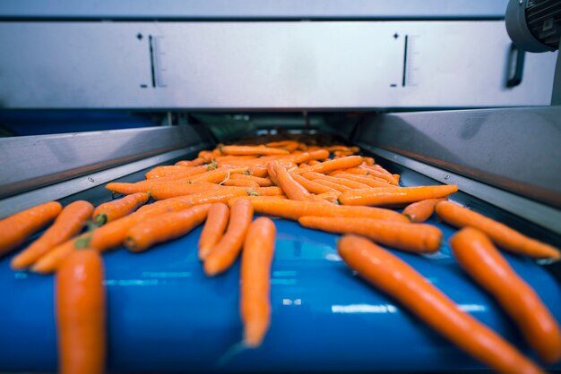 Revolutionizing Meat Processing: The Impact of Advanced Machinery on Efficiency and Safety